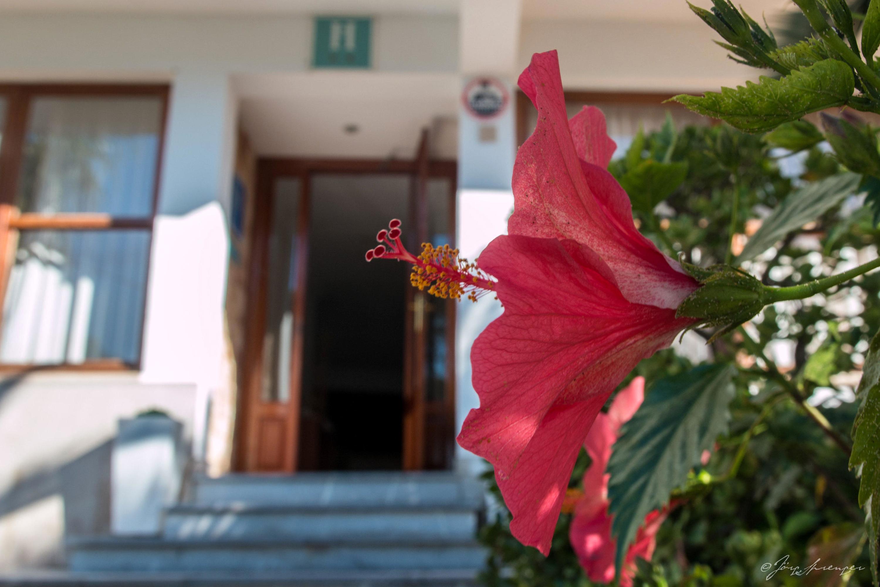 Hotel Santanyi Port Cala Figuera  Dış mekan fotoğraf